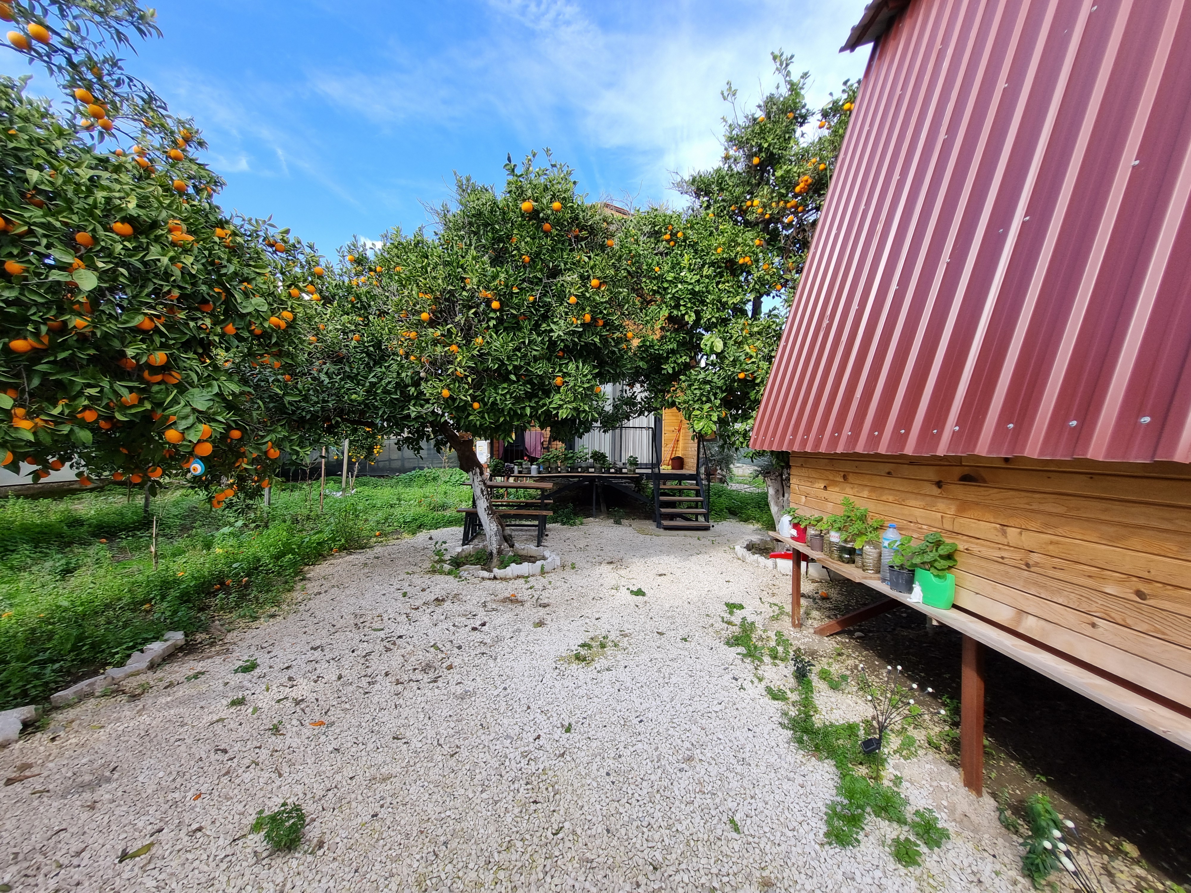 Demre Orange Garden Bungalow: Doğa ve Tarih İçinde Unutulmaz Bir Tatil