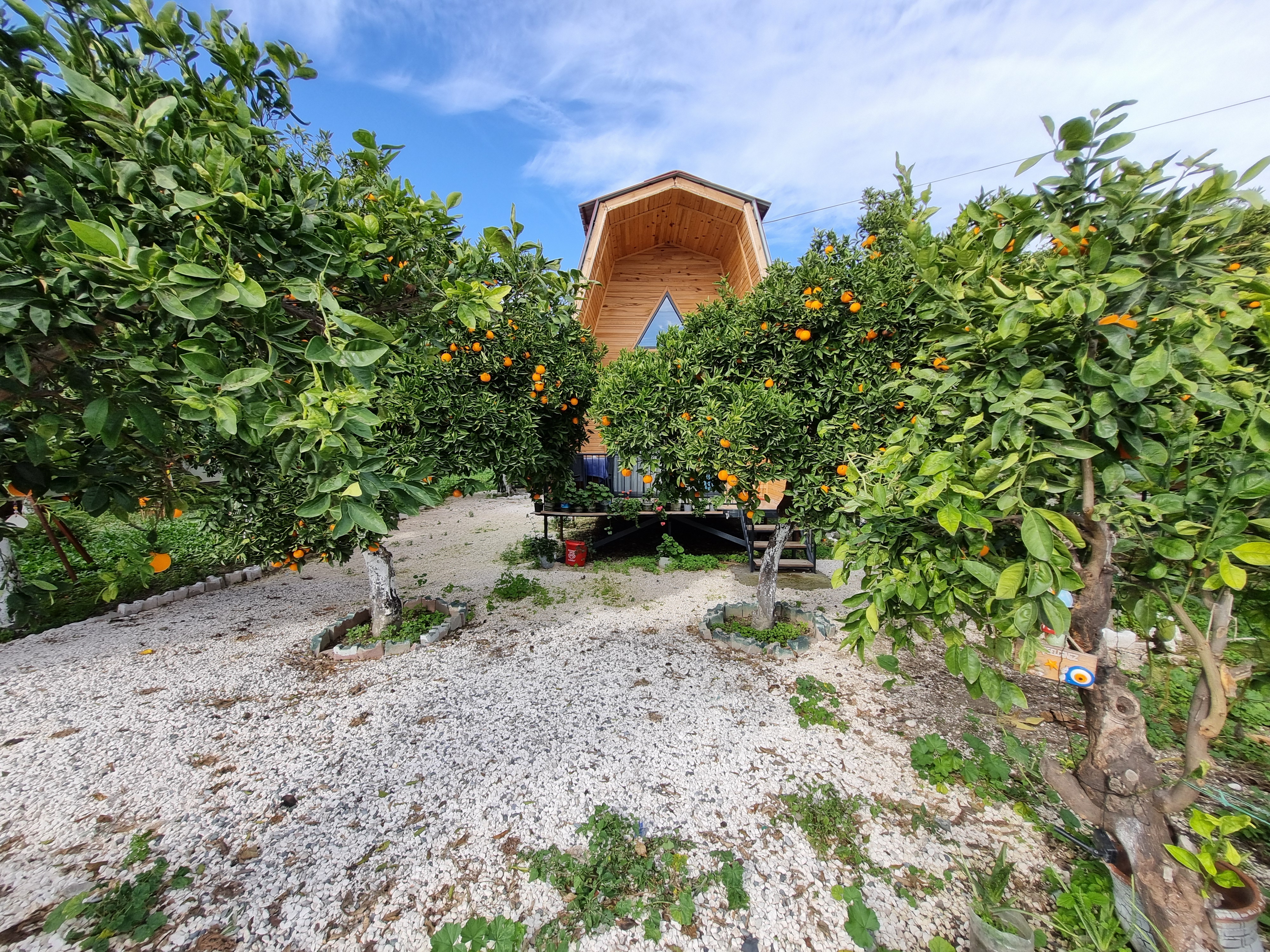 Demre Orange Garden Bungalow ile Unutulmaz Bir Tatil Deneyimi